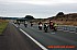 cafe racer 2005-0091_1.jpg cafe racer 2005-0091_1.jpg